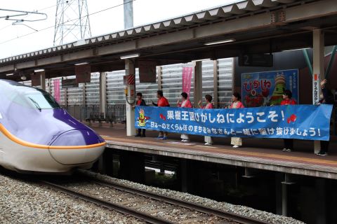 第23回 果樹王国ひがしねさくらんぼマラソン大会(山形県 東根市 陸上